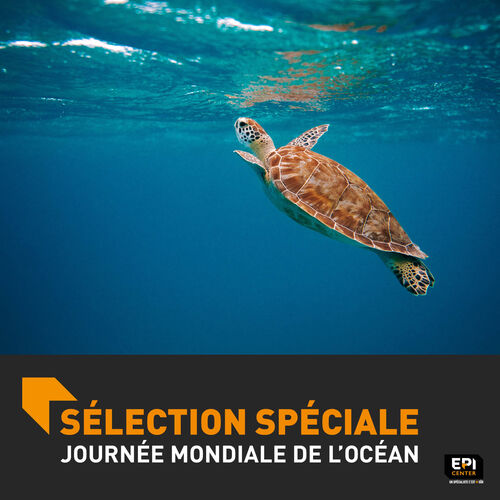 SELECTION SPÉCIALE - JOURNÉE MONDIALE DE L'OCÉAN